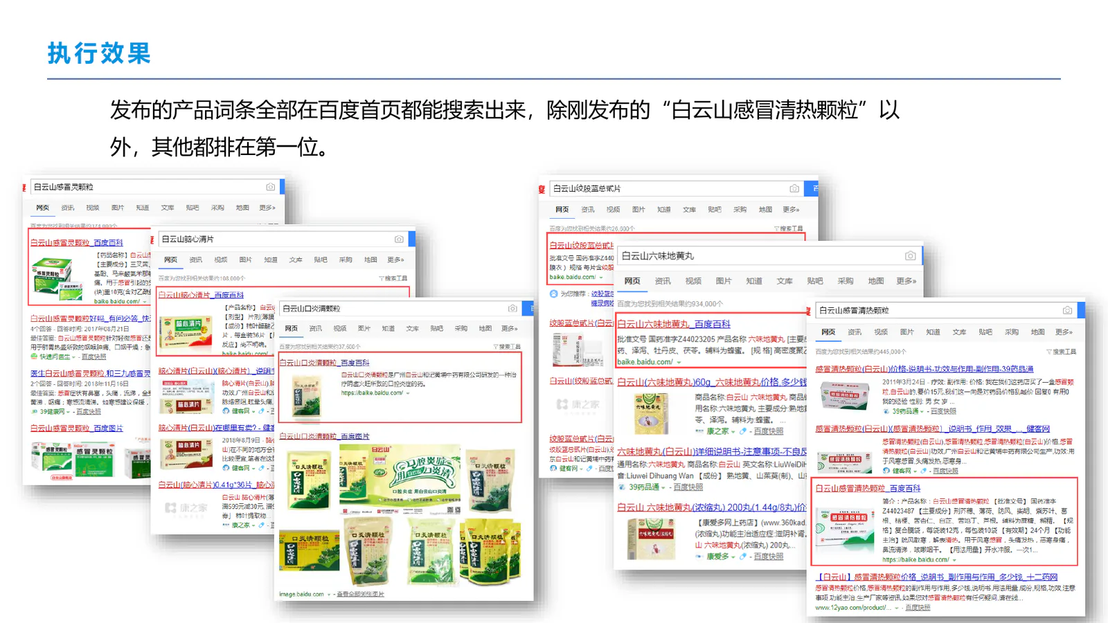 白云山和黄中药项目画面：让官网回到第一，让产品在搜索首页被正确看见