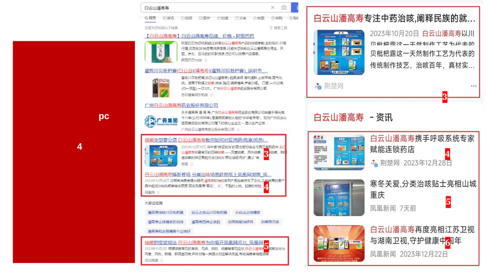 白云山潘高寿项目画面：重建品牌的搜索第一界面